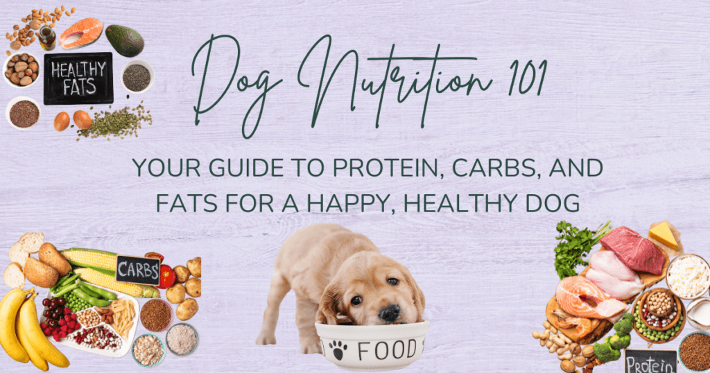 Dog Nutrition 101