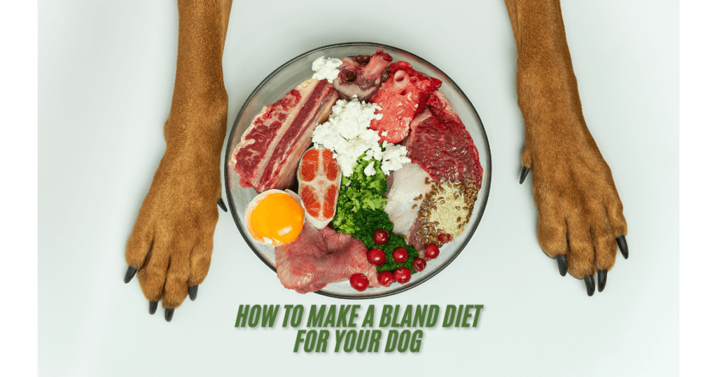 Dog Nutrition 