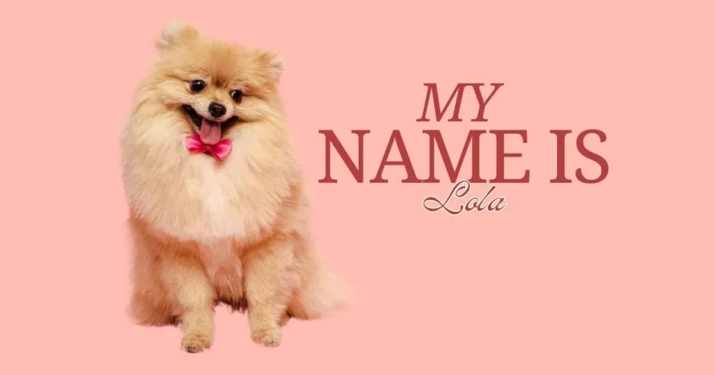 Top Girl Dog Names: Unique, Cute, and Popular Picks for Your Pup