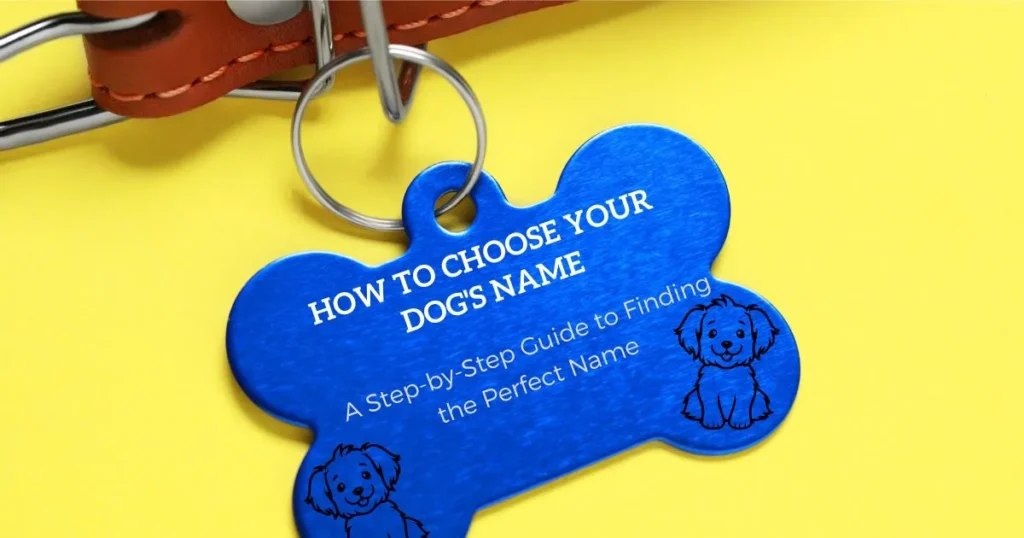 Dog's Name