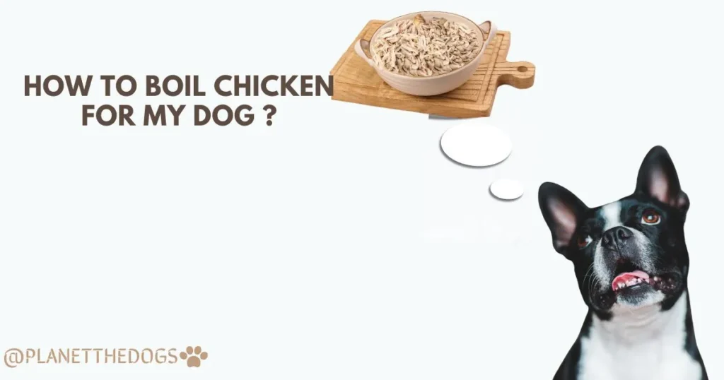 how to boil chicken for dogs