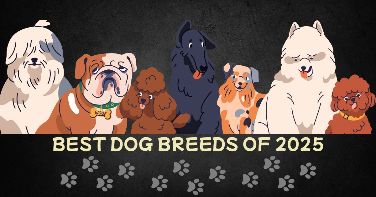 best dog breeds